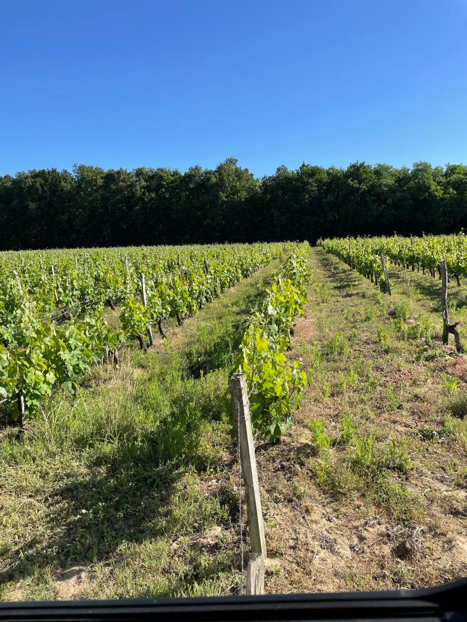 Domaine Des Quatre Terres Villa Lesparre-Medoc Exterior photo